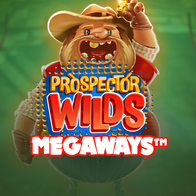Prospector Wilds Megaways